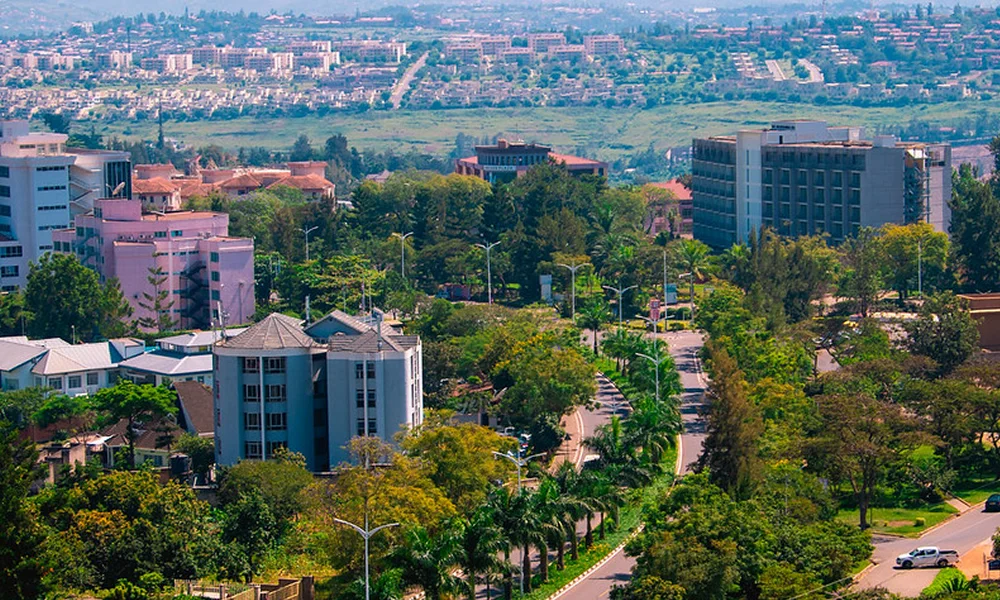 green-kigali-panther adventures