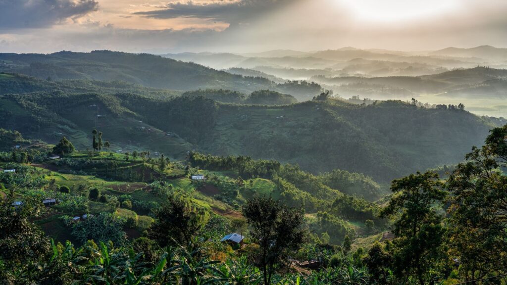 valleys-and-hilltops-in-rwanda/panther_adventures
