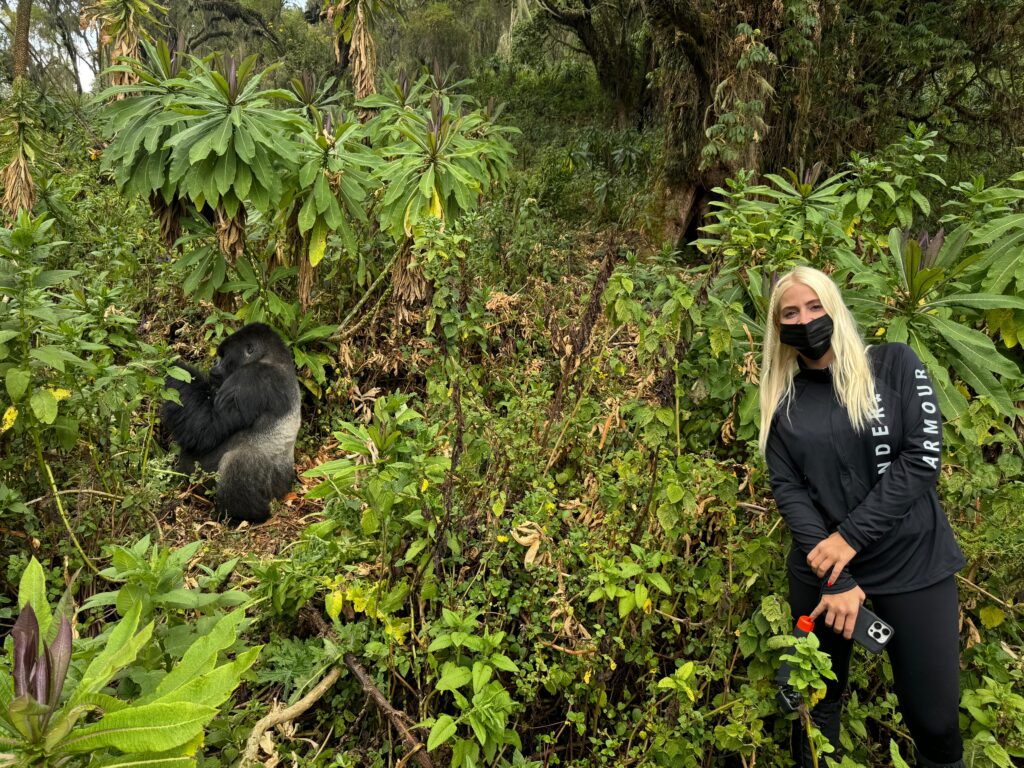 gorilla trekking panther adventures Panther adventures
