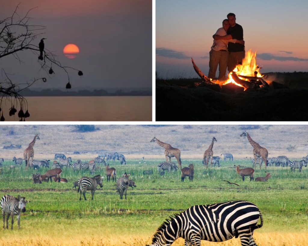 Brown Minimalist Desert Photo Collage 1