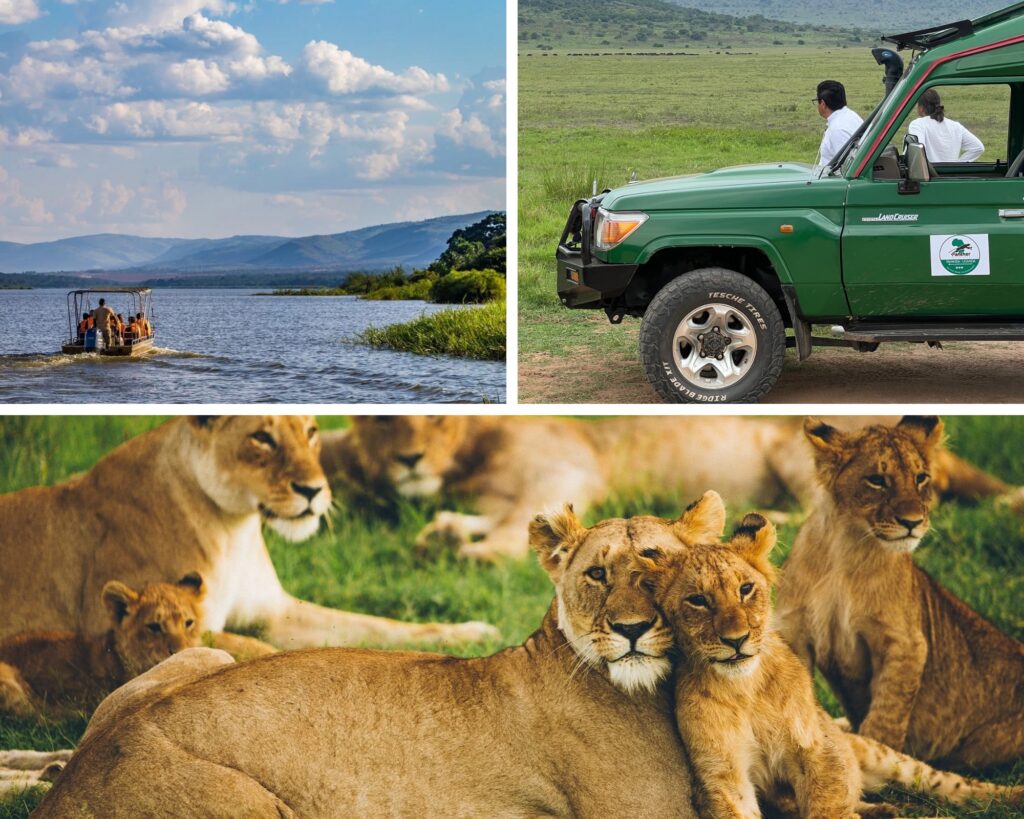 Brown Minimalist Desert Photo Collage